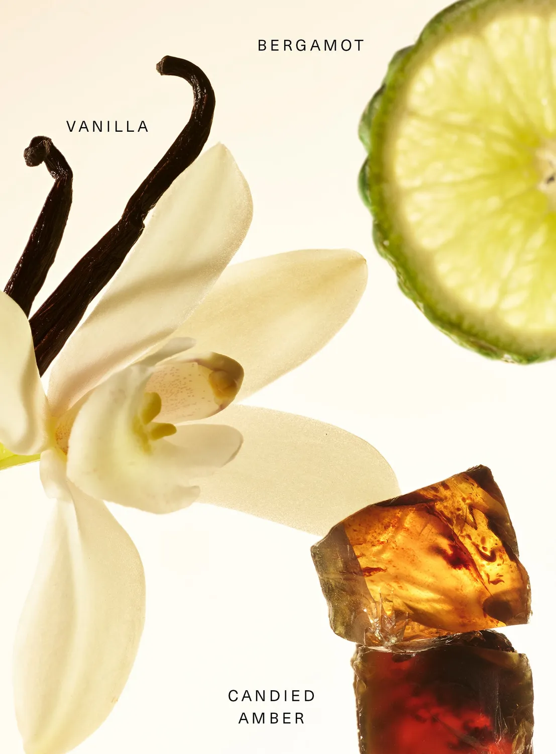 Rare Beauty baume parfum Amber Vanilla solide chaud