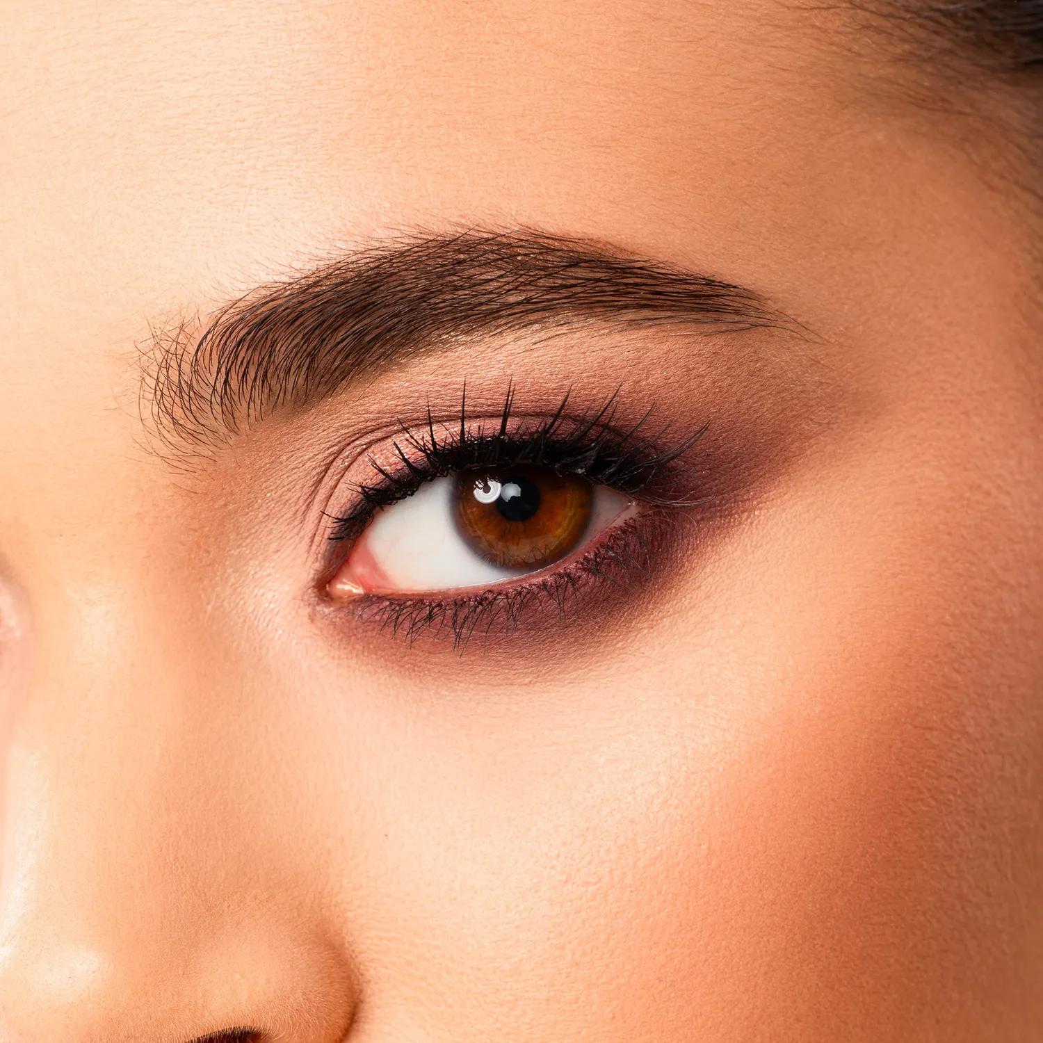 Mesauda Colour Theory 102 palette fards mauve 6 teintes