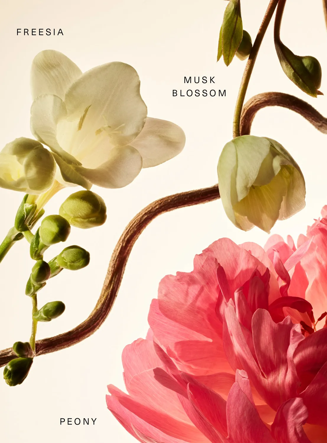 Rare Beauty baume parfumé Floral Peony Blossom