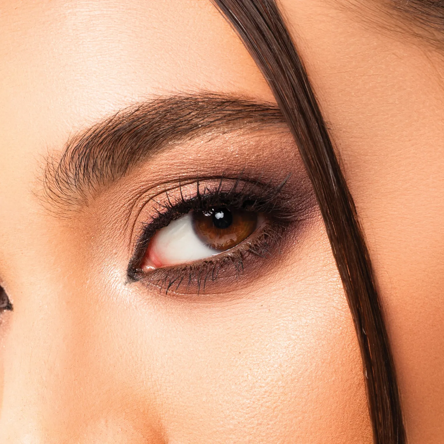 Mesauda Colour Theory 101 Nude Canvas palette 6 fards