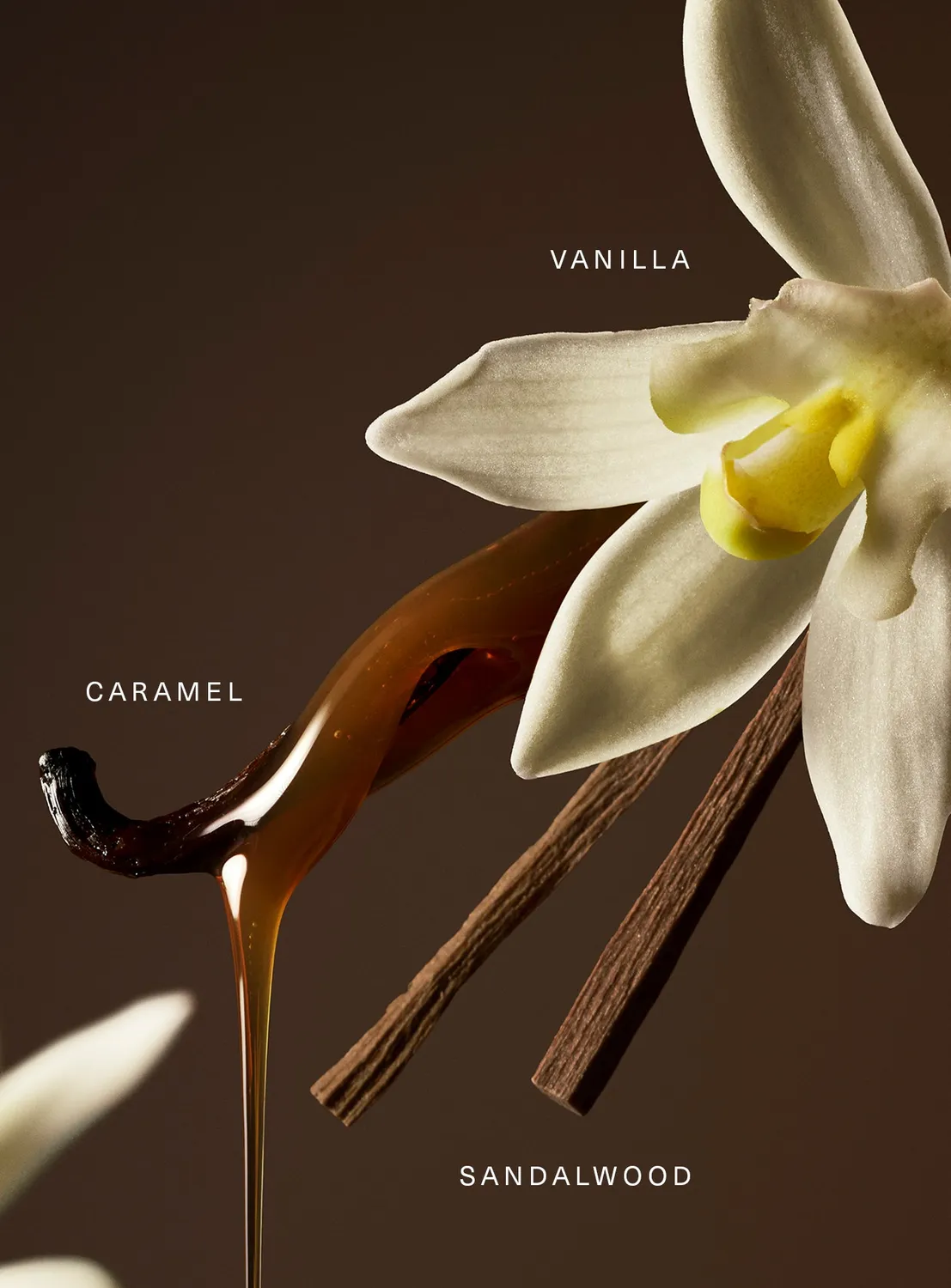 Rare Beauty Rare eau de parfum vanille caramel 50 ml