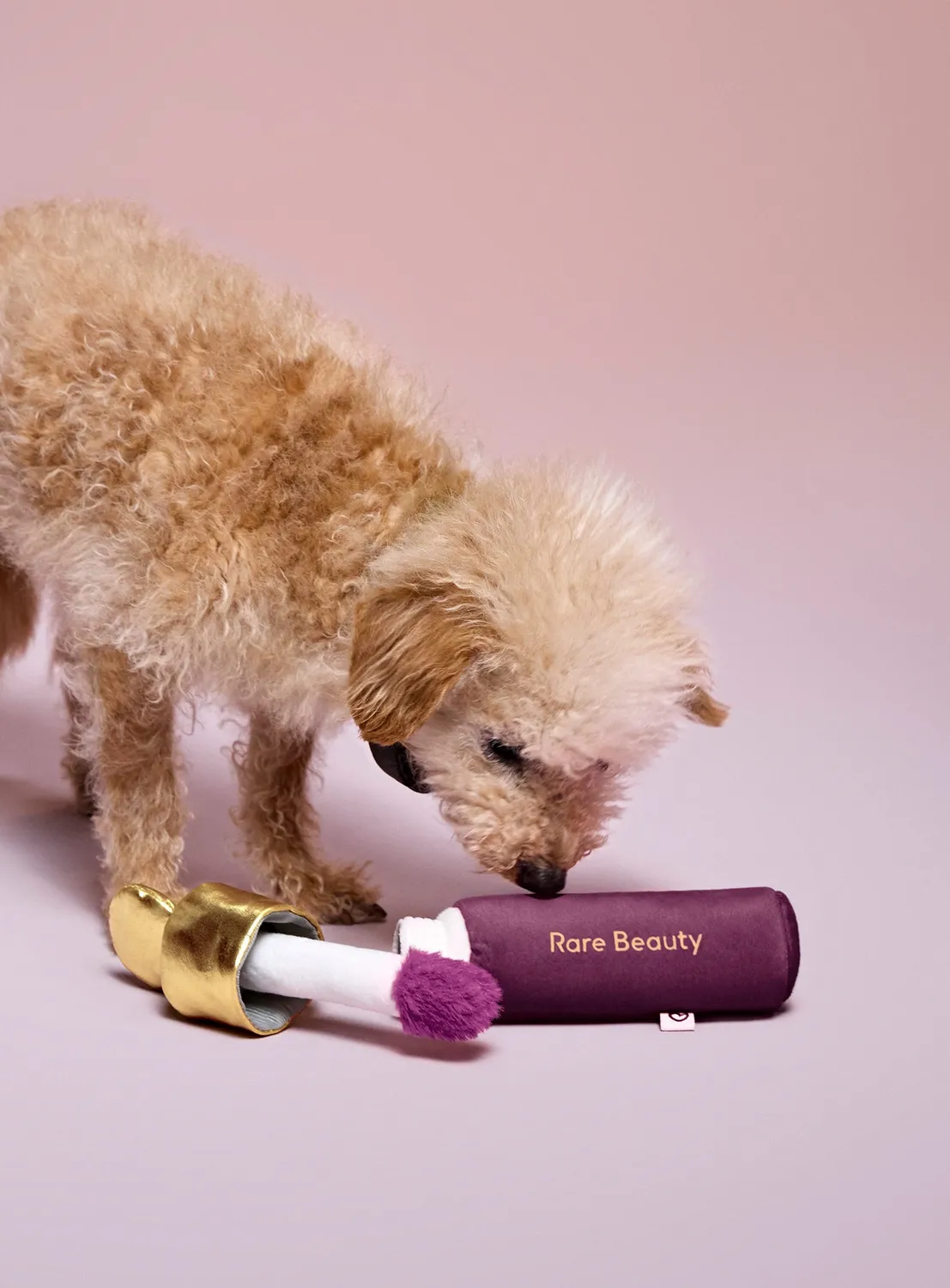 Rare Beauty Soft Pinch jouet pour chien Faith peluche