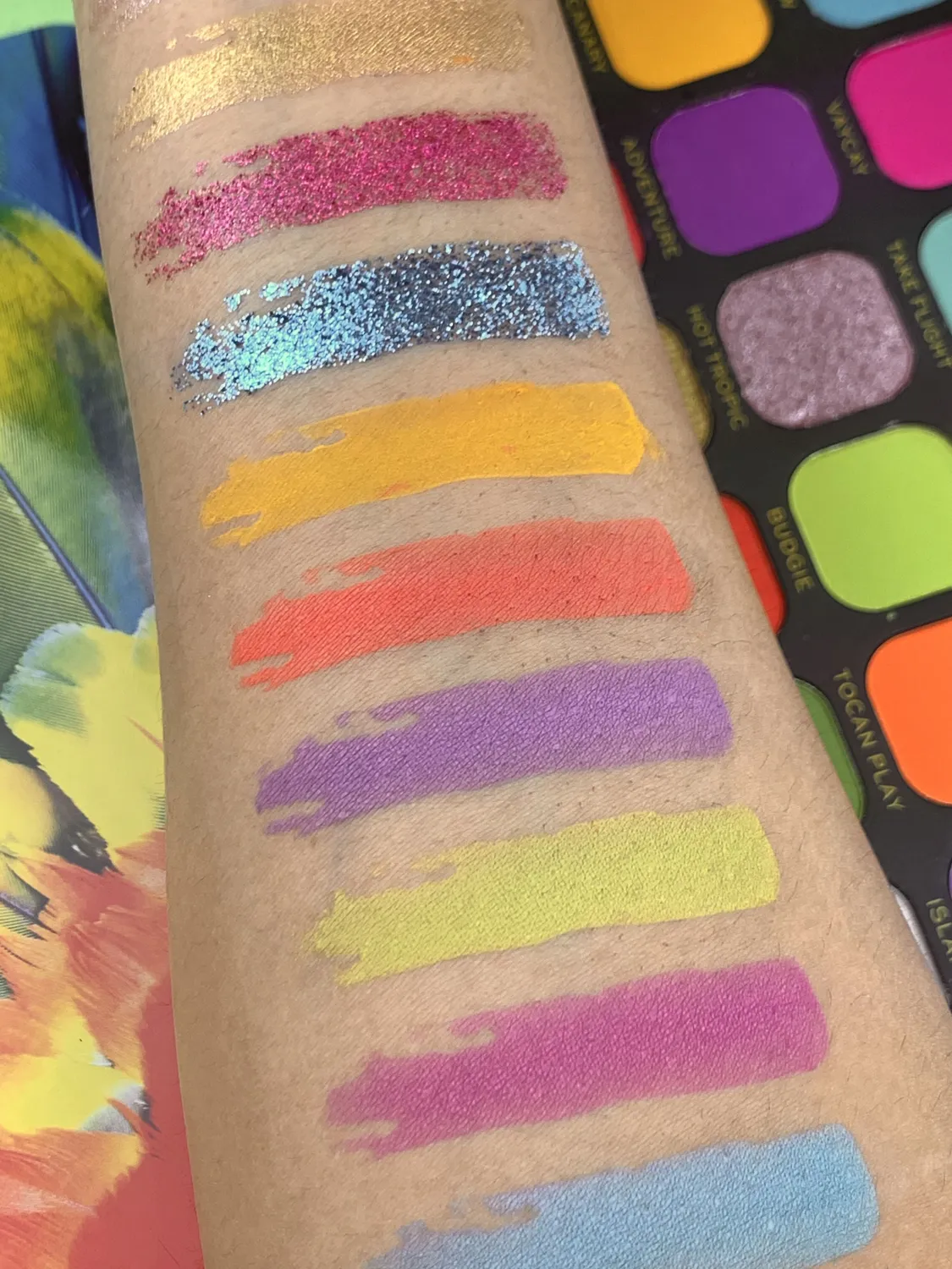 Revolution Forever Flawless Bird of Paradise palette couleur vive
