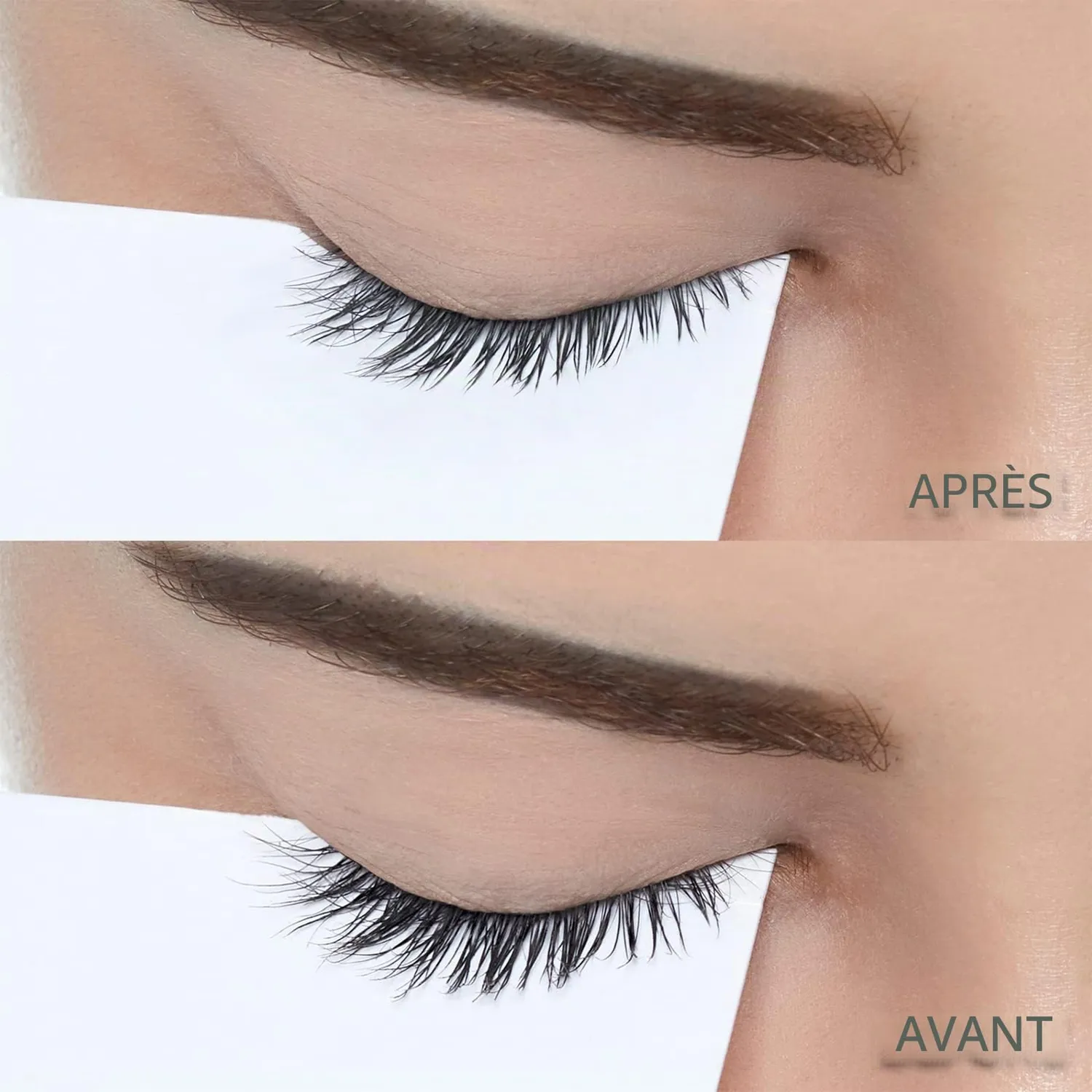 Etude House Power Eyelash Ampoule sérum cils 6g caféine